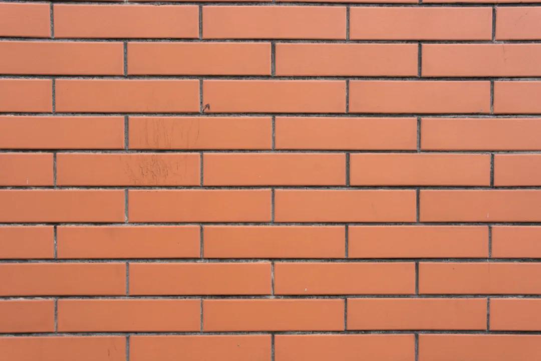 国产自动对焦镜头进击:永诺85、42.5、35mm三镜头测评