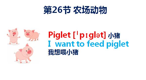 小学生入门学英语单词1000个,初学者如何快速学会英语单词