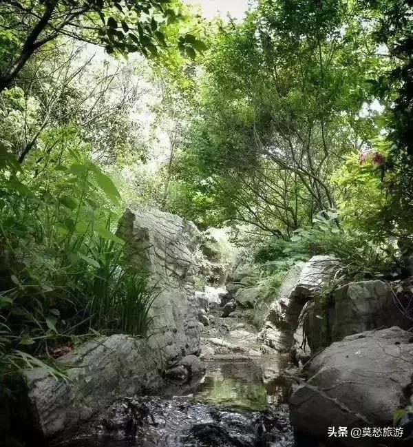 爱喝双拼奶茶的你,知道南京市郊有座免费的“双拼”公园吗?