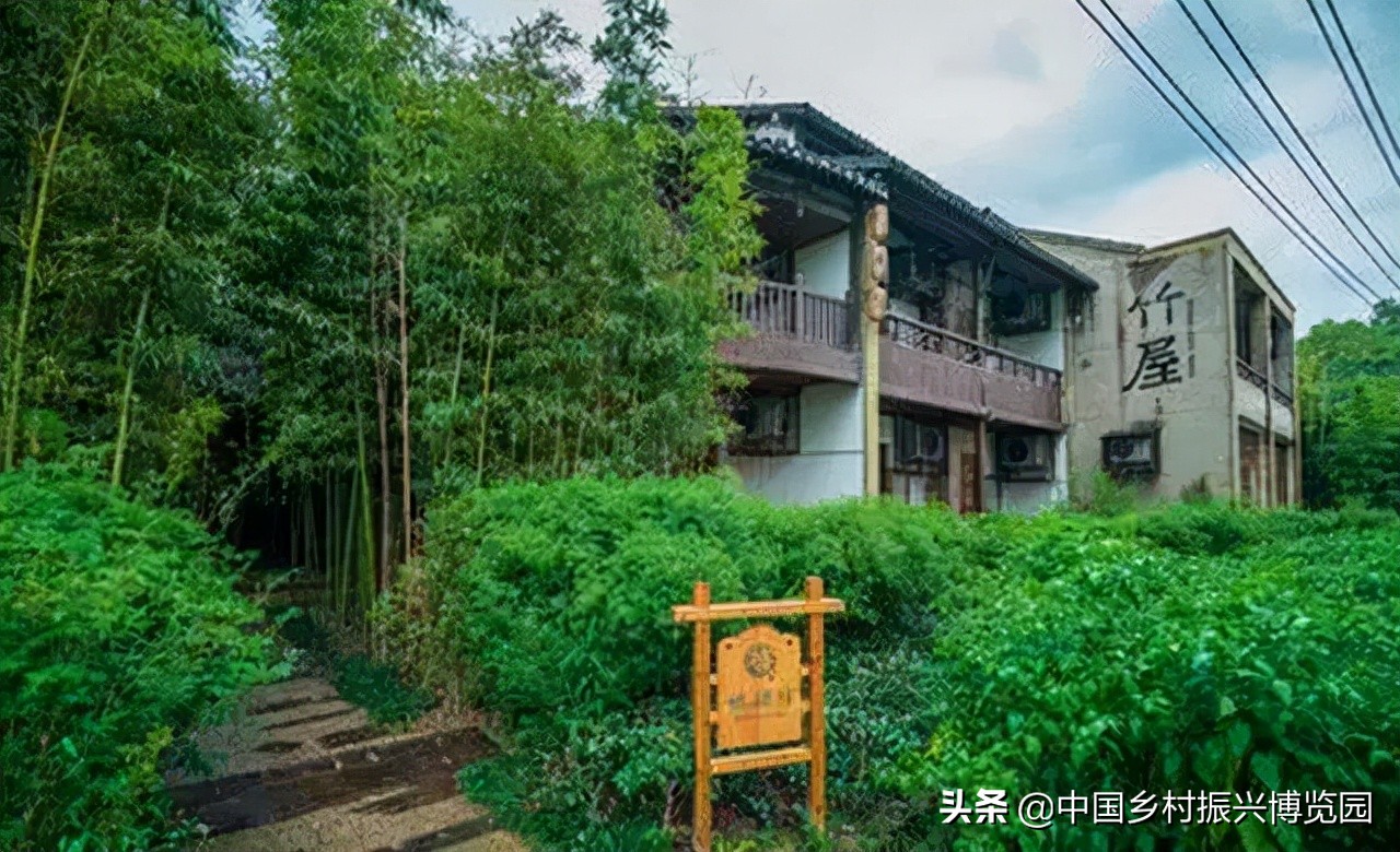 乡村振兴案例2021,乡村振兴案例2022