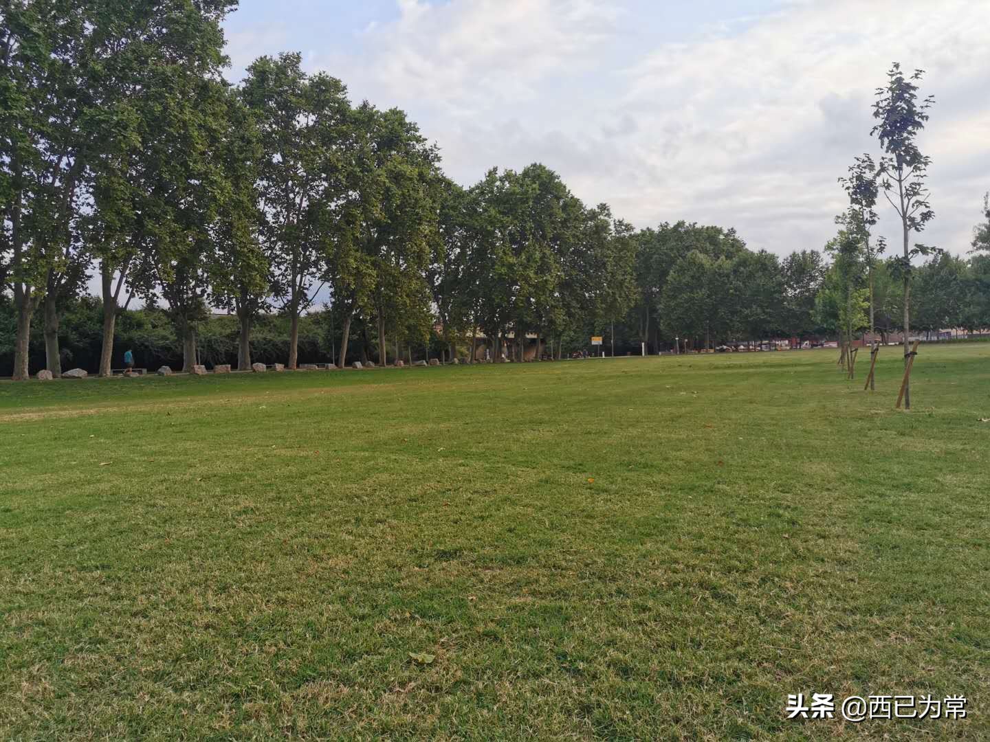 踢野球好不好,踢野球的十大禁忌