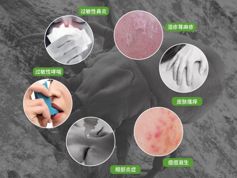 被子不洗不晒怎么杀菌除味,被子很臭又不能洗怎么办