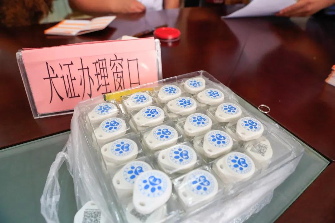 哈尔滨养犬登记证办理流程,家里养狗证件去哪里办