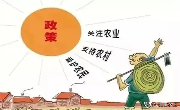 承包100亩农业土地国家有啥补贴,河南省农业土地承包补贴政策