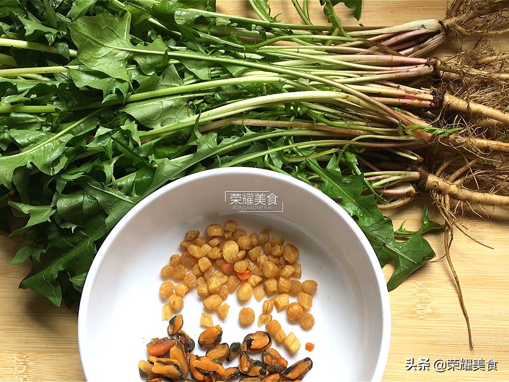 蒲公英野菜什么人不能吃,蒲公英是清热下火的吗