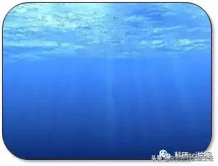 科研论文作图系列教程第02集,科研绘图教程交流