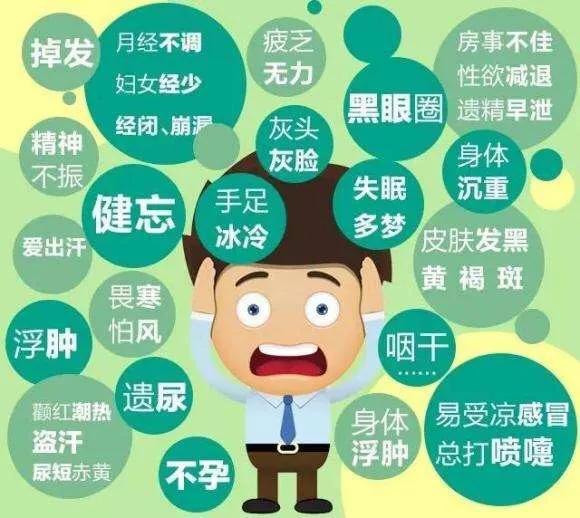 中医养生不得不说的误区：三七粉真的适合您吗？