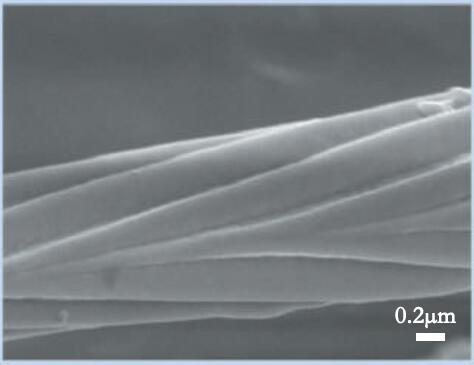 荷叶为什么出淤泥而不染读后感,荷叶出淤泥而不染濯清涟而不妖