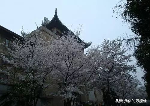 还记得母校的校训吗,你还记得你们大学的校训吗