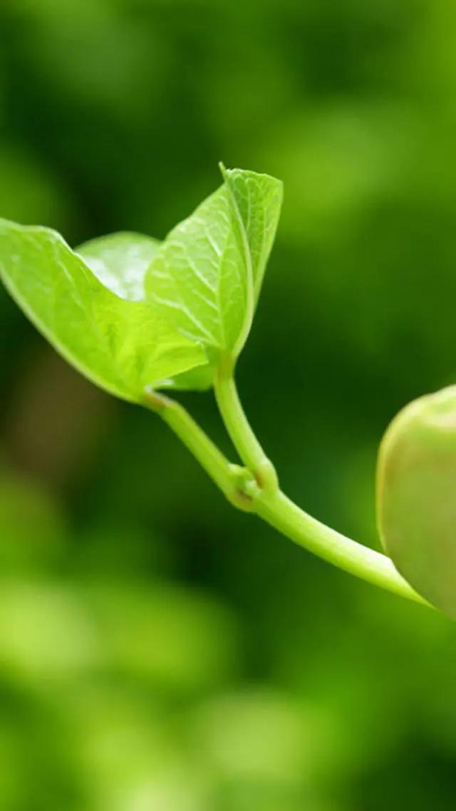 白岩松经典语录昨天比今天好 (白岩松经典语录最难的事终会过去)