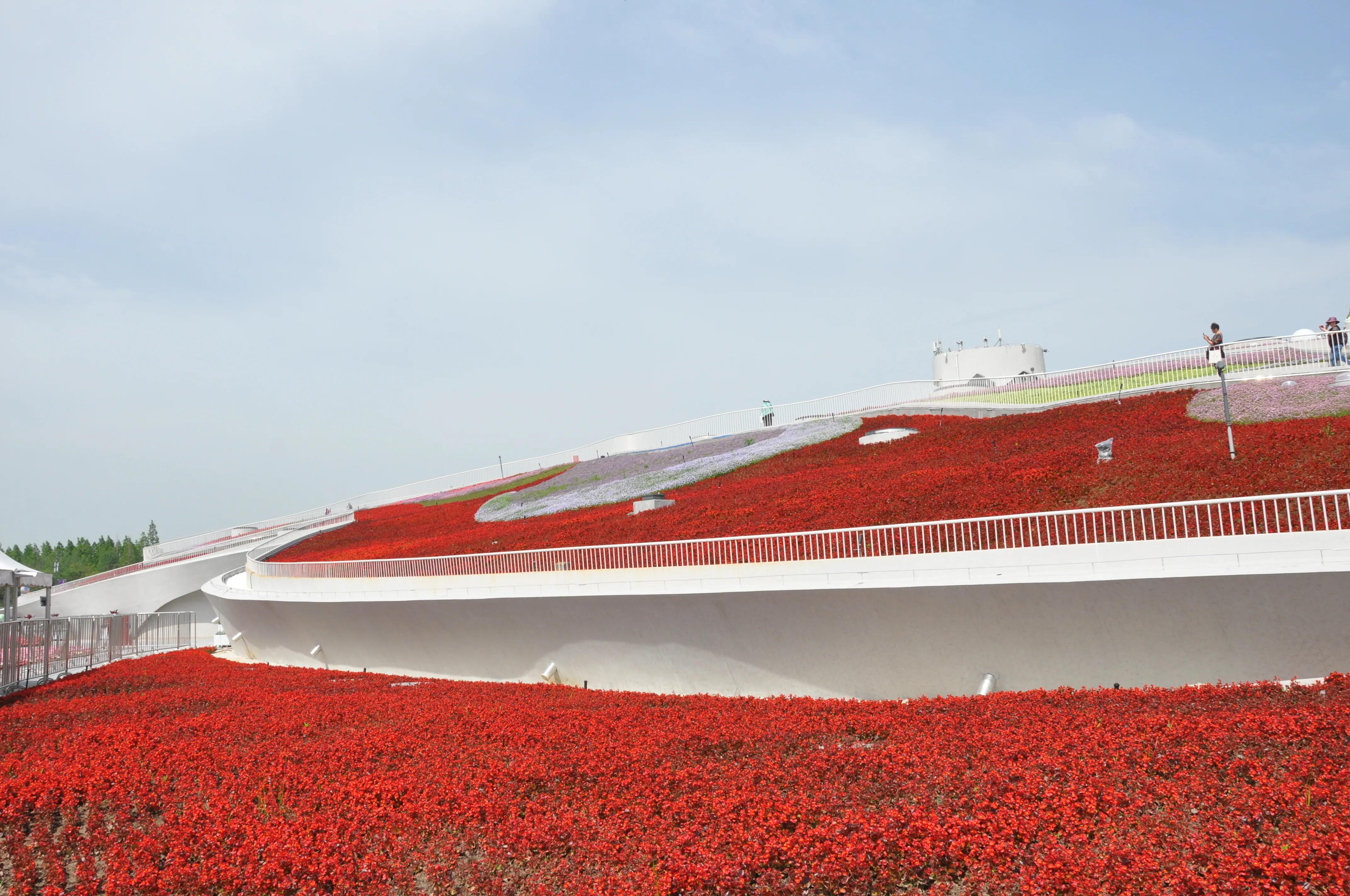 漳州东南花都花博会巡游,花博会花神巡游打卡