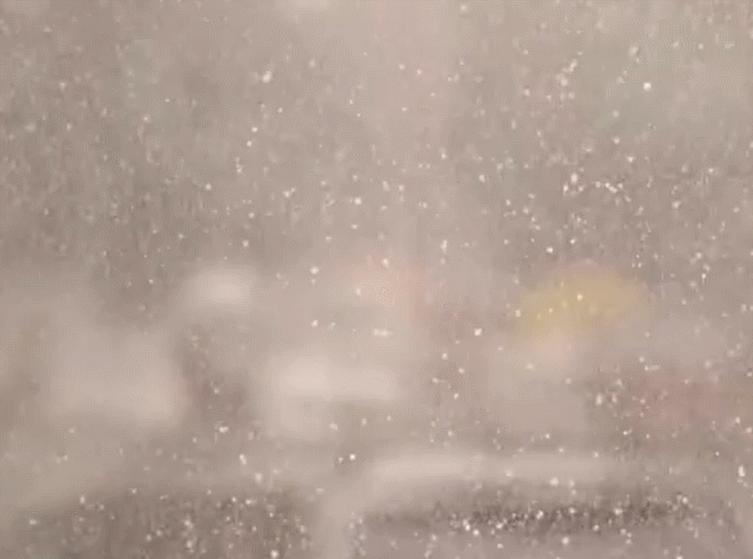 知名画家真实事件,知名艺术家得知妻子出轨