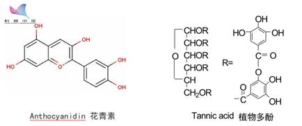 这支笔,易擦、可降解,吃到嘴里也不怕