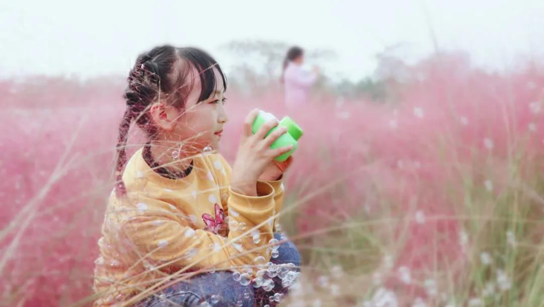 浦口好看的花海,浦口最好的花海