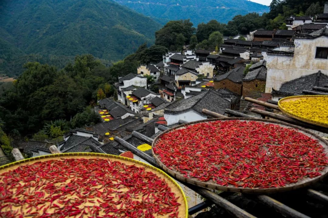 中国最美秋色篁岭晒秋,篁岭体验闻名遐迩的晒秋