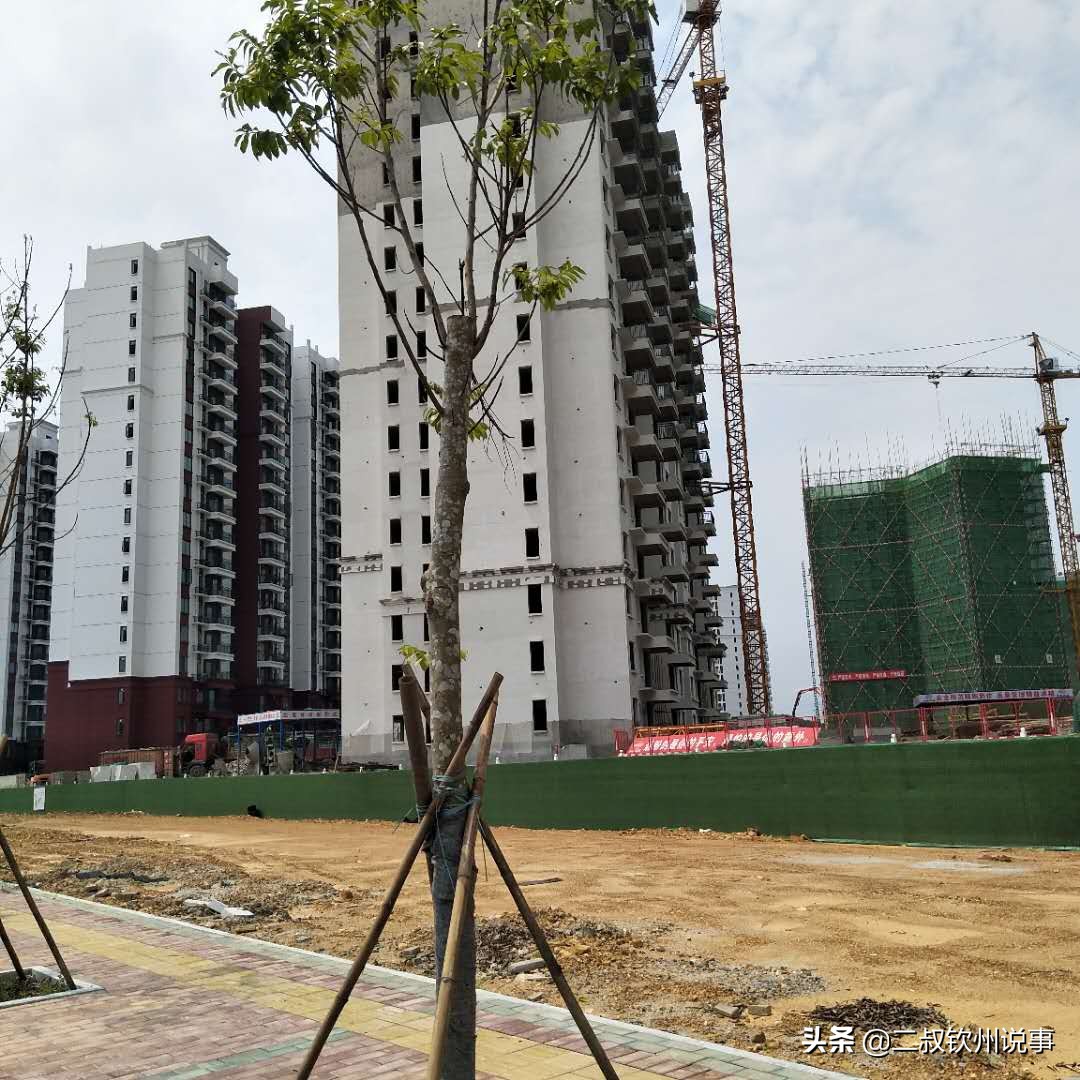 钦州在哪里、好在哪？钦州在心里、在手上