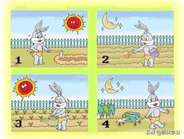 一二年级看图写话训练教程视频,一二年级看图写话训练教程