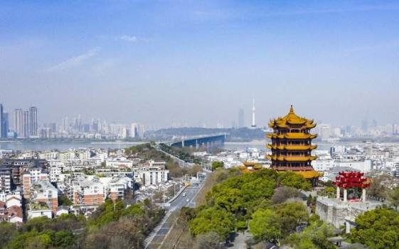 双相障碍患者父母该放弃吗,双相障碍患者父母的痛苦