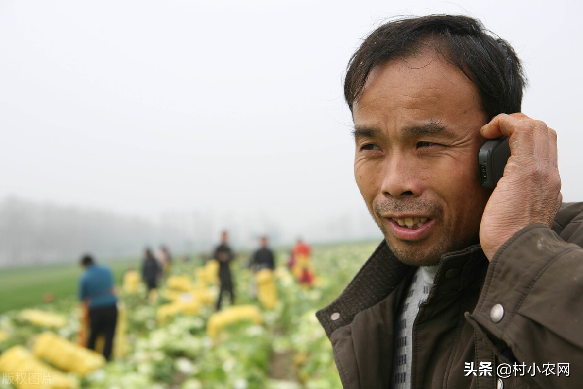 适合农村创业的29个项目,2022乡镇致富新项目