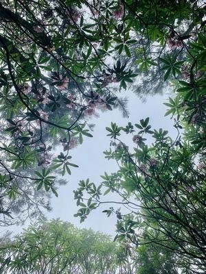 人间值不值得再来一次,人间到底值不值得