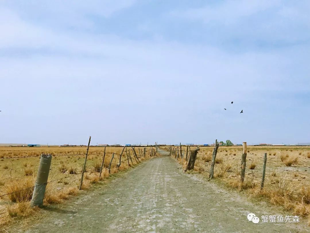 承德到大草原自驾游攻略,北京出发热阿线达达线自驾游攻略