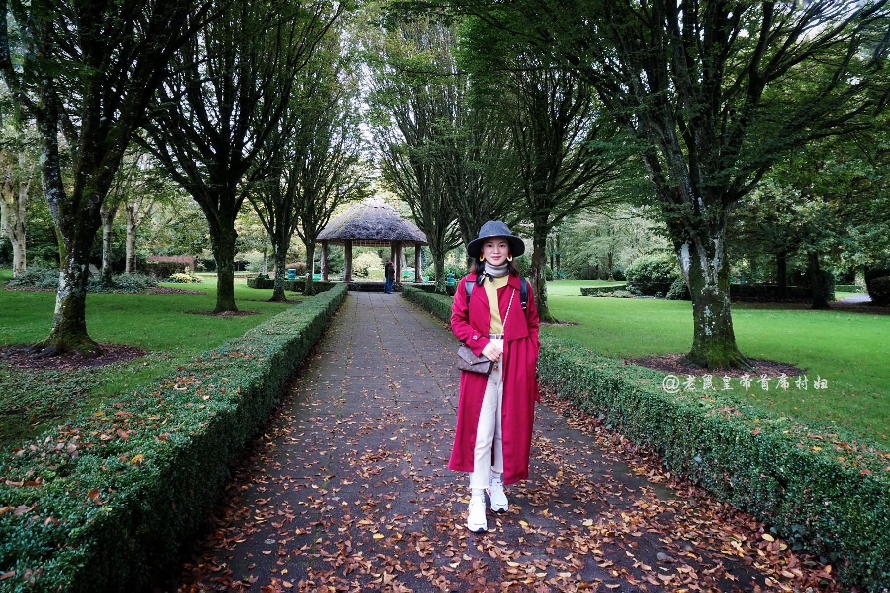 爱尔兰为什么那么多人向往,爱尔兰阿黛尔小镇