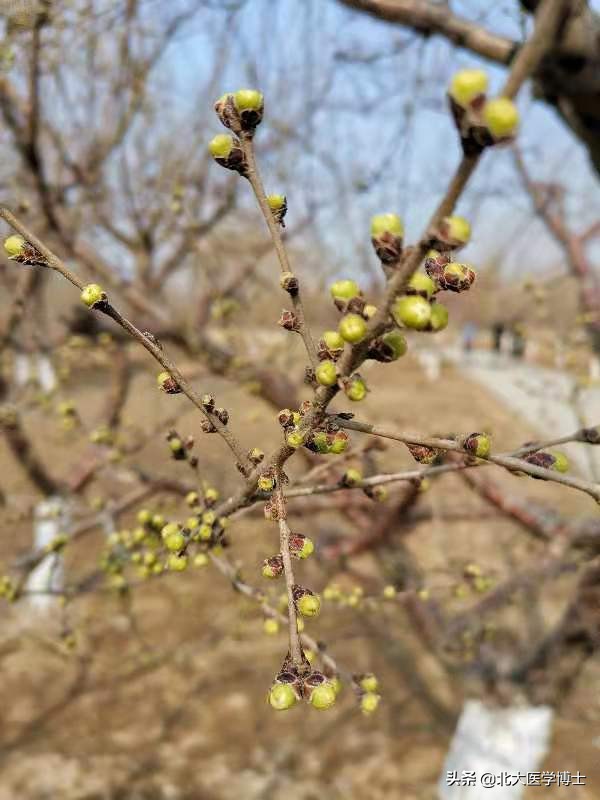 为什么春天天气暖了会发痒,夏天天气炎热皮肤瘙痒怎么办