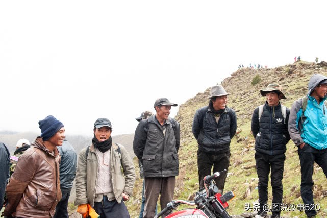 “疯狂”虫草一根卖到30元，中国最大虫草地，5月开挖孩子放假