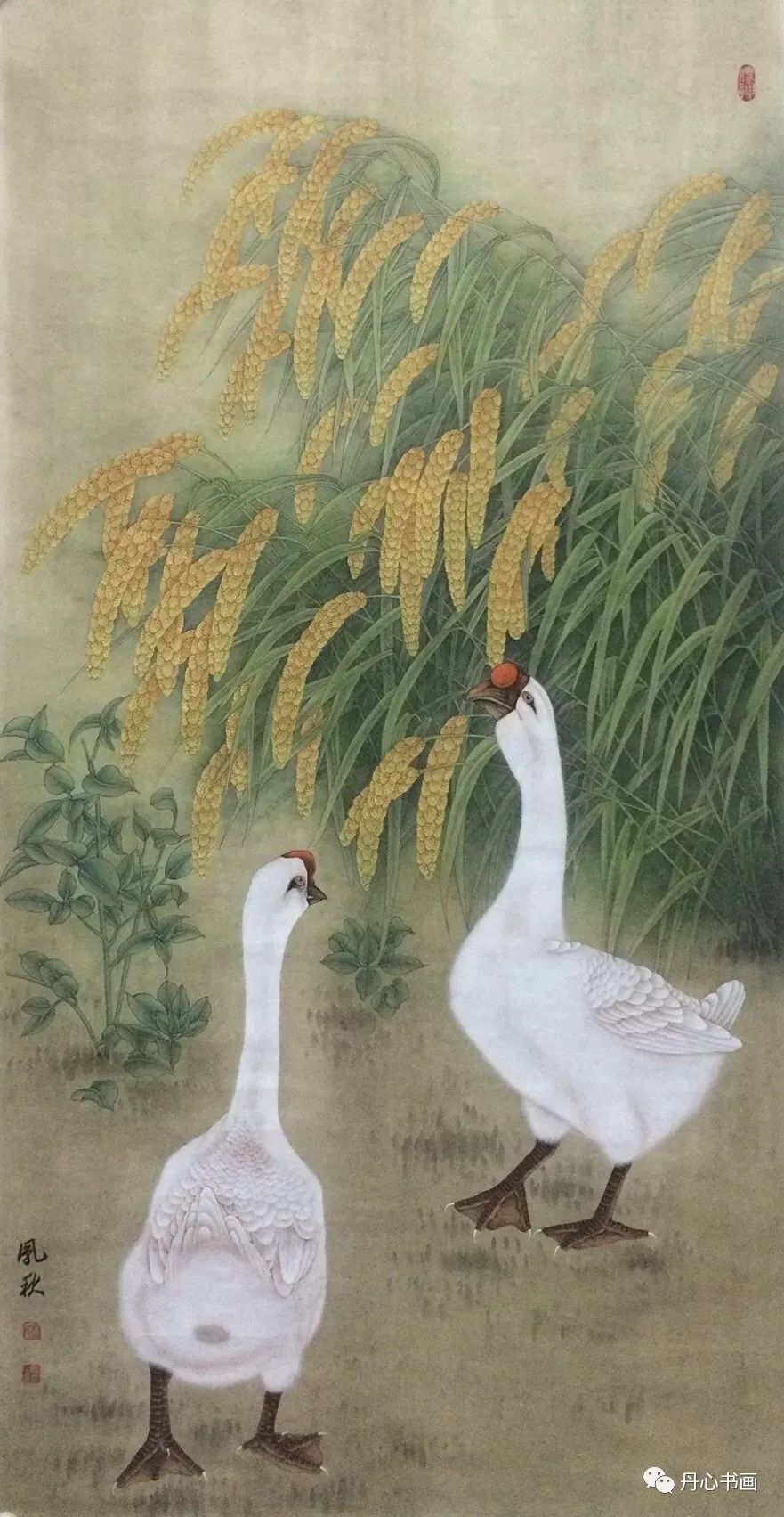 清新恬雅，意趣隽永｜工笔画家徐凤秋