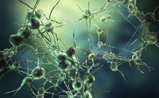 面神经炎和面瘫的区别,面神经炎吃什么药