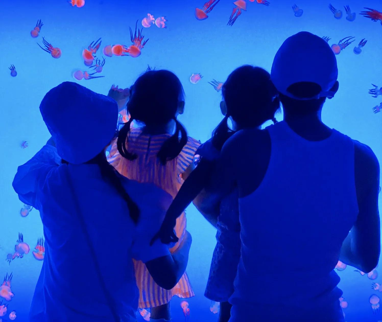 刘烨谈和谢娜分开原因,谢娜刘烨分开是最好的选择