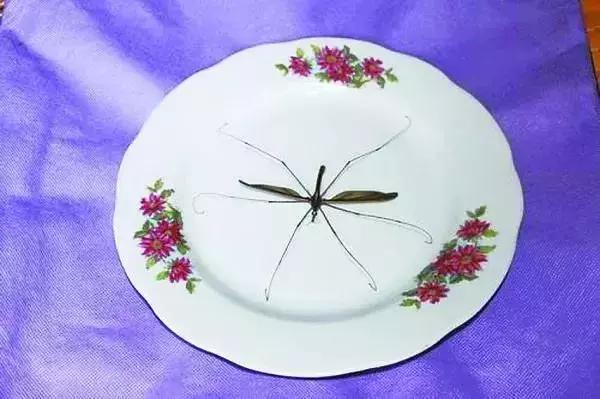 南方人在北方需要注意什么,南方人冬天来到北方最怕什么