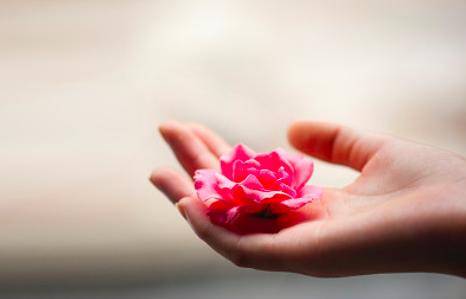 精油为什么不适合自己,精油为什么对情绪有帮助