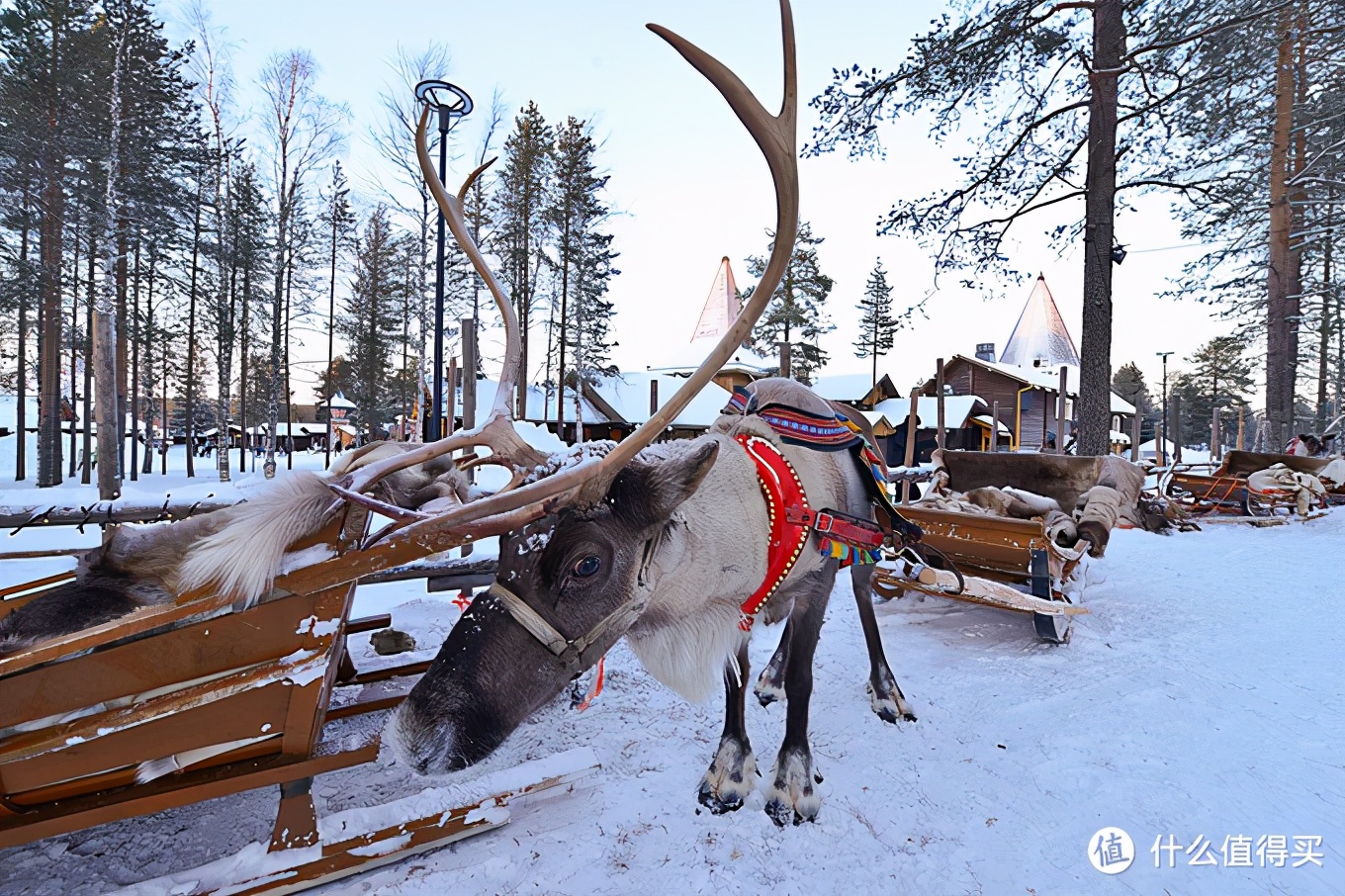 欧游杂记，追寻圣诞老人和极光