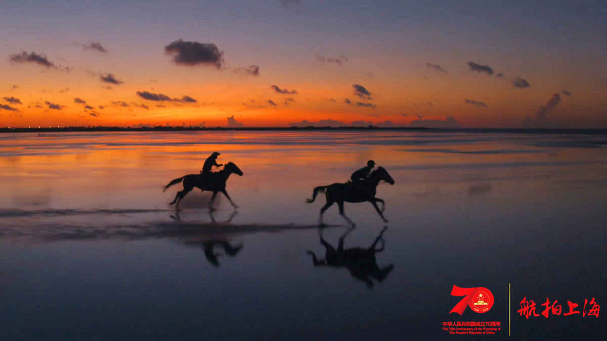 超燃大片！航拍上海24小时，16区混剪版亮出魔都的“精气神”【可爱的中国，奋进的上海】