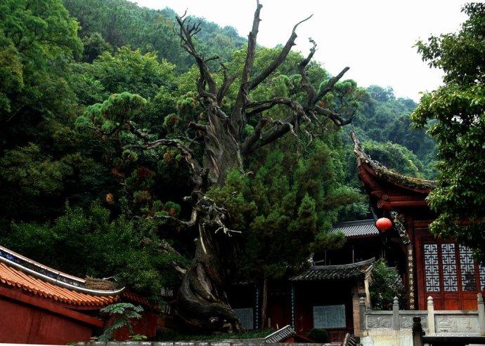 西昌邛海湿地全国排名,西昌邛海湿地