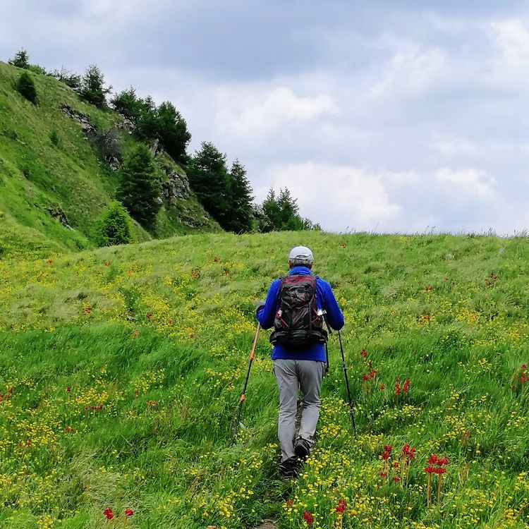 小五台山景区游玩攻略,小五台山快乐一日游