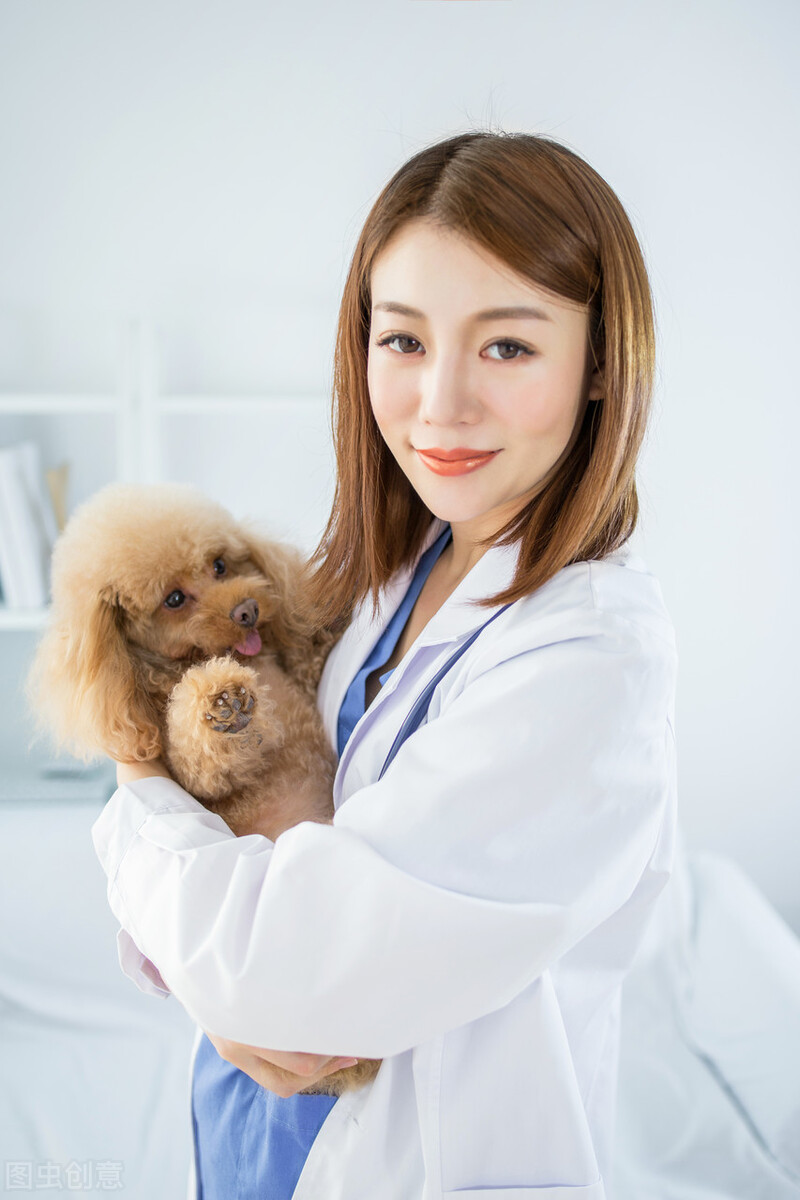 小狗冠状病毒还拉肚子呕吐,宠物出现呕吐