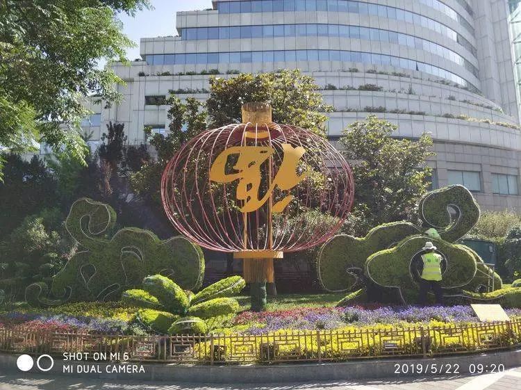 战高温斗酷暑坚守一线工地,战高温斗酷暑坚守一线照片