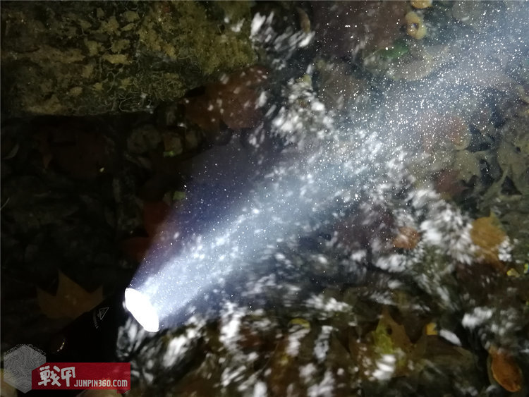 fenix菲尼克斯pd36rv2.0,fenix手电pd40r与pd36r哪个好