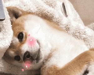 夏天的第一双鞋子,夏天头层皮单鞋