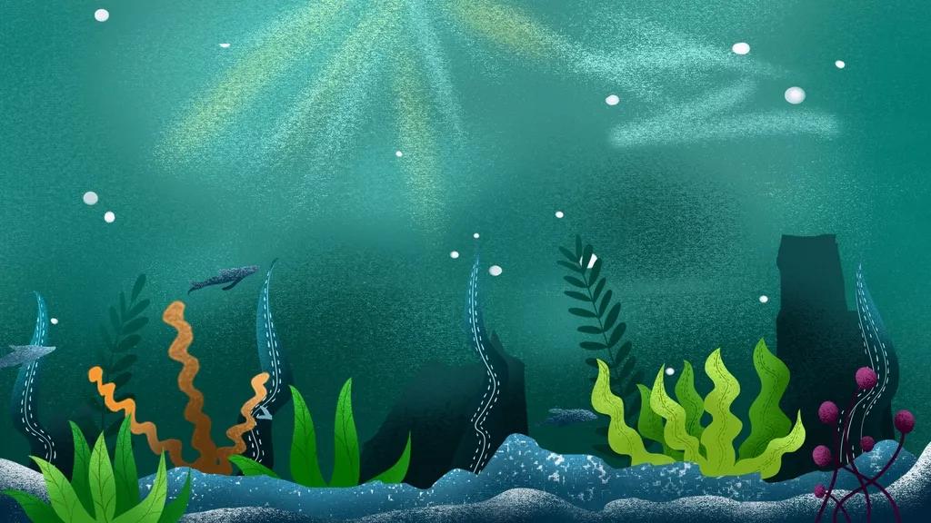 水草缸造景视频,水草缸要打氧吗