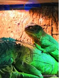 海洋公园特价35元起,快来唤醒来自世界各地的海洋居民吧!