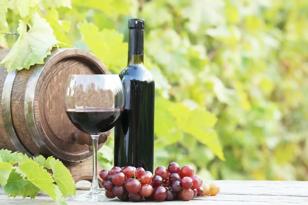 我国历史上“代购第一人”张骞,都带回了哪些西域宝贝?