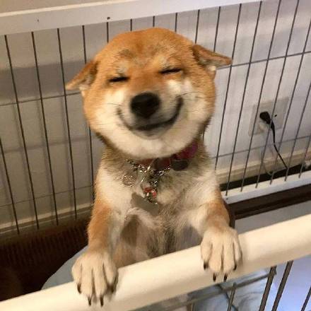 一件代发的网店没访客咋办,淘宝一件代发有访客没人下单