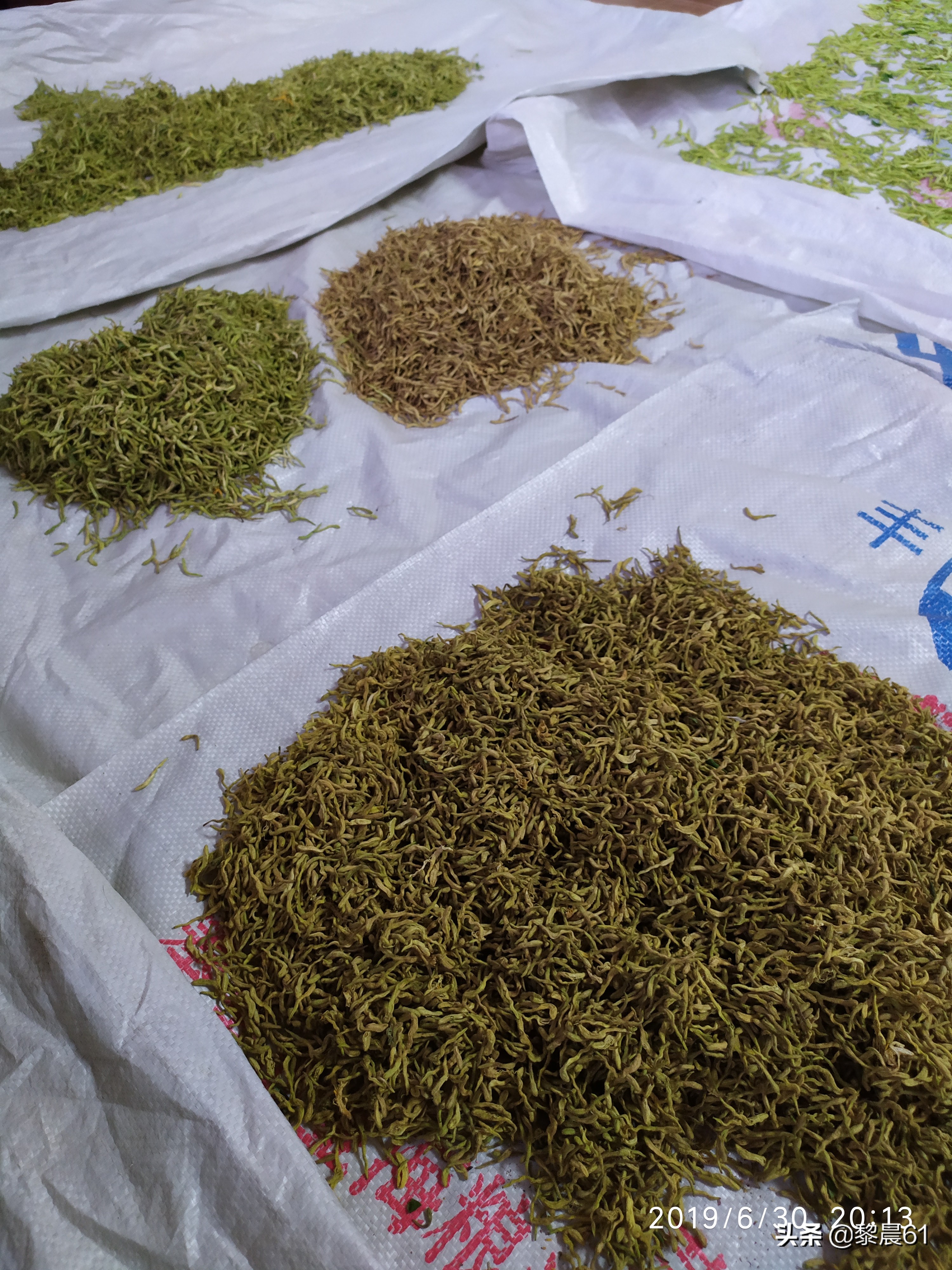 金银花怎么加工才能保住质量,自制金银花全过程