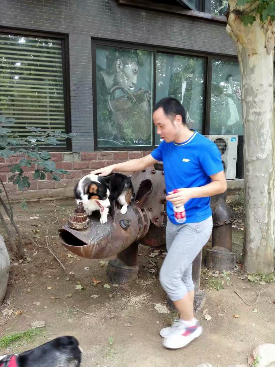 打卡食草堂,打卡素食茶馆餐厅