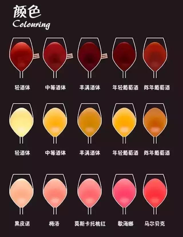 葡萄酒品酒知识,葡萄酒品酒大师