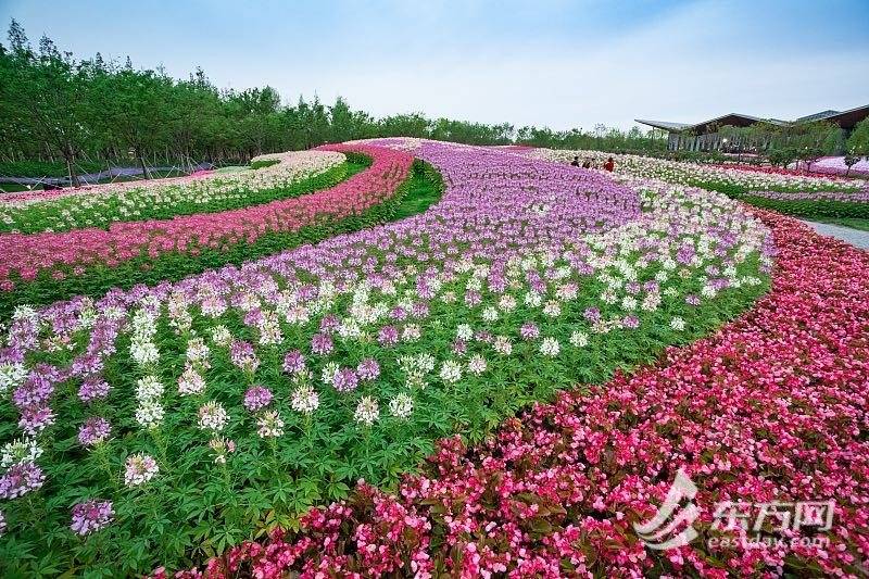 上海在农村当村官工资高吗,在上海当一名医生是什么体验