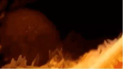 18张动图揭秘，你不是游得最快的那一个精子